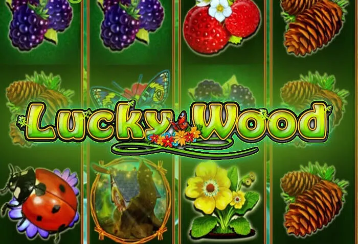 Stakebro Casino No Deposit Code slot machine jackpot display