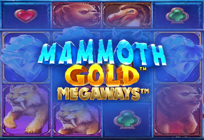 Expérience de jeu premium Stakebro Casino.