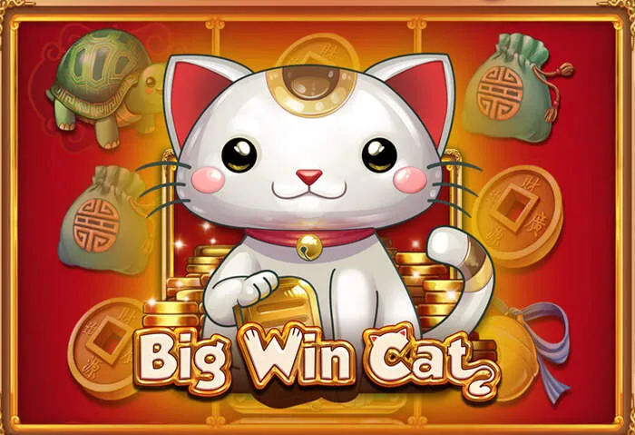 Mesas de casino en vivo de Stakebro: baccarat, ruleta y más diversión online